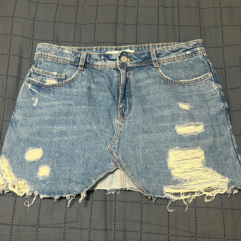 Zara Skirt